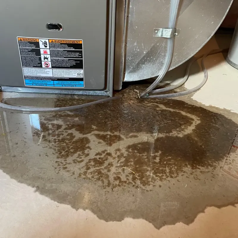 Appliance Leak Cleanup in Vandiver, AL